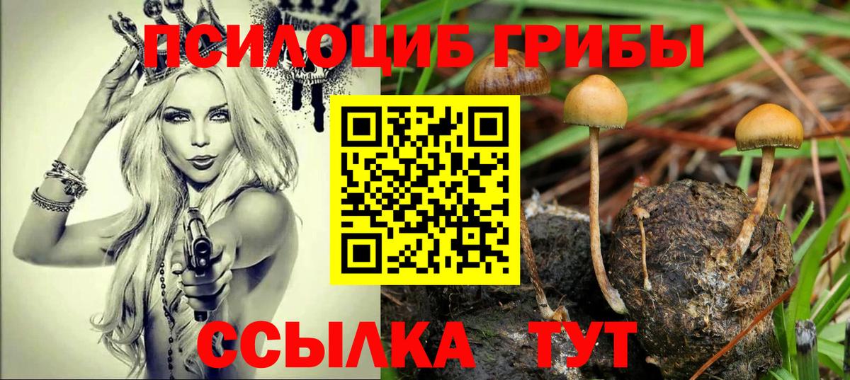 Кудымкар  Псилоцибиновые грибы GOLDEN TEACHER  Галлюциногенные грибы Psilocybe  Вход с VPN 