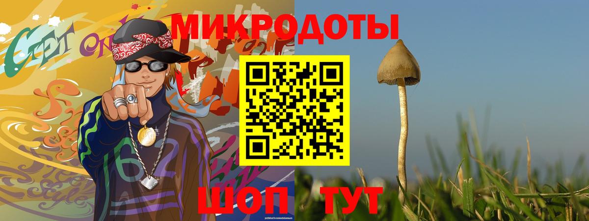 Галлюциногенные грибы мицелий Кудымкар